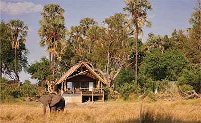 Belmond Eagle Island Lodge , Okavango