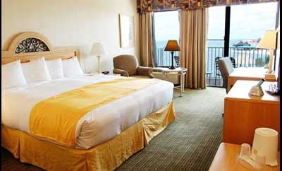 Best Western Bay Harbor Hotel - Tampa