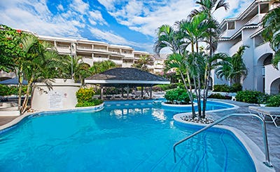 Bougainvillea Barbados