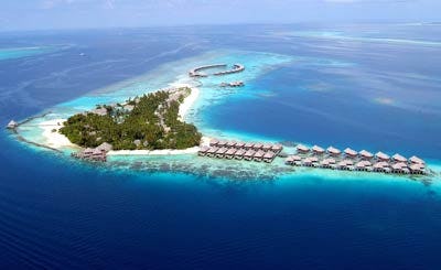 Coco Bodu Hithi