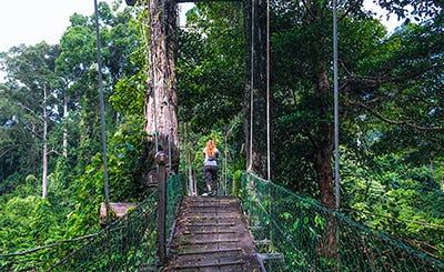 danum-valley-field-centre-malaysia-06