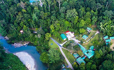 danum-valley-field-centre-malaysia-08