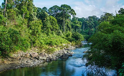 danum-valley-field-centre-malaysia-09