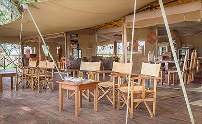 elephant-bedroom-camp-kenya-06