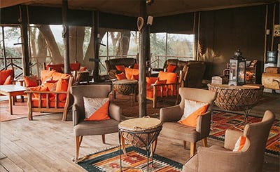 elephant-bedroom-camp-kenya-07