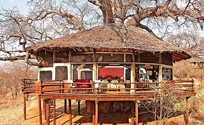 Elewana Tarangire Treetops