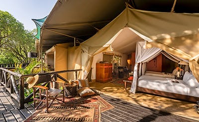 Fairmont Mara Safari Club