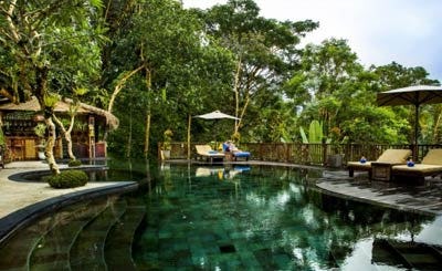 Nandini Jungle Resort and Spa 