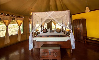 Serengeti Simba Lodge