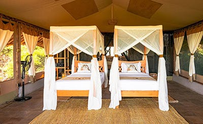 Soroi Cheetah Tented Camp