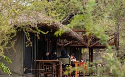 Tarangire Simba Lodge  