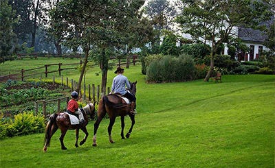 Elewana The Manor at Ngorongoro