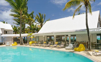 Tropical Attitude