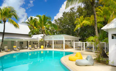 tropical attitude