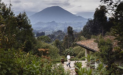 wilderness-sabyinyo-rwanda-09